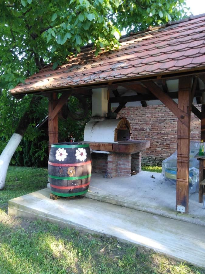 Umjetnicka Etno Kuca Luka Διαμέρισμα Podravske Sesvete Εξωτερικό φωτογραφία